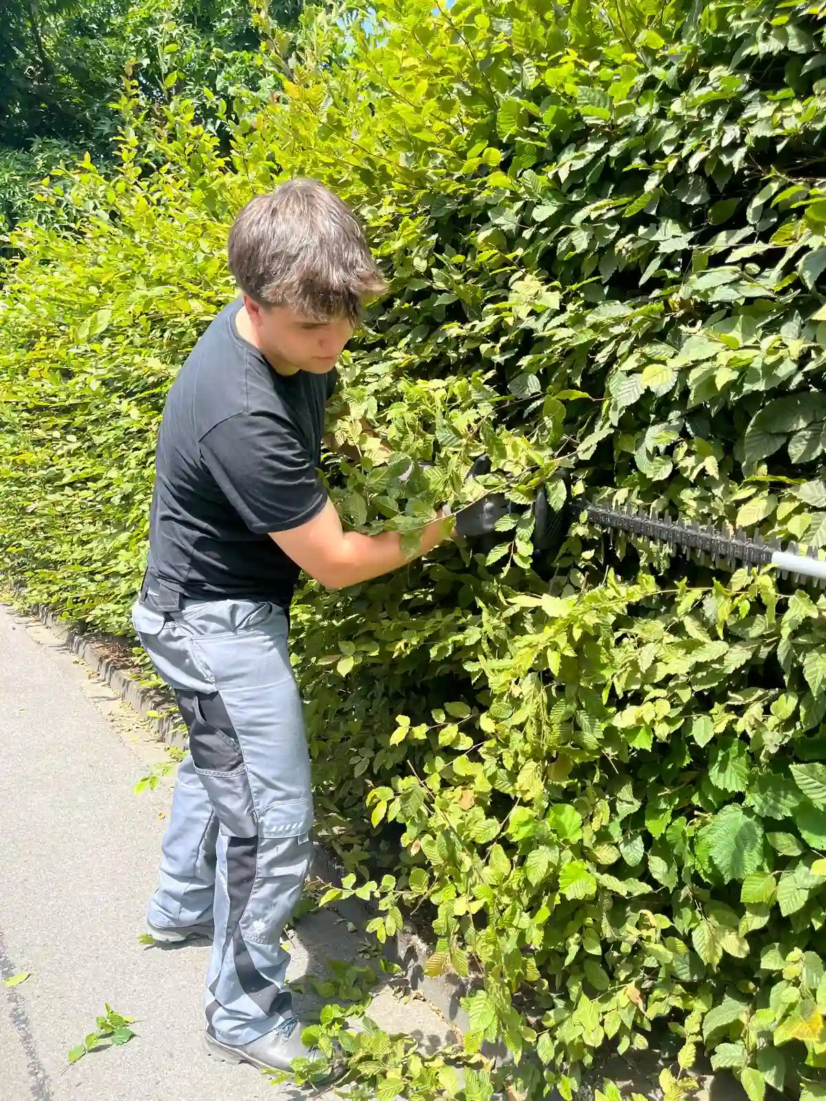 Joel Dehmelt beim Heckenschnitt in einem Garten in Datteln