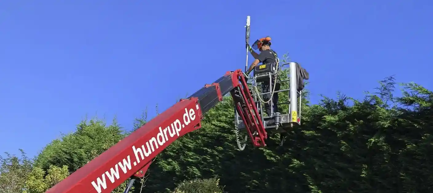 Gepflegter Garten nach Gartenbau und Heckenschnitt in Datteln – Garten- und Hausmeisterservice Joel Dehmelt